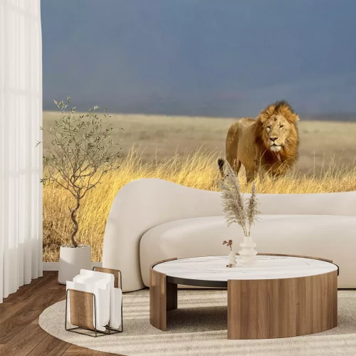Papier peint  Lion dans la savane africaine