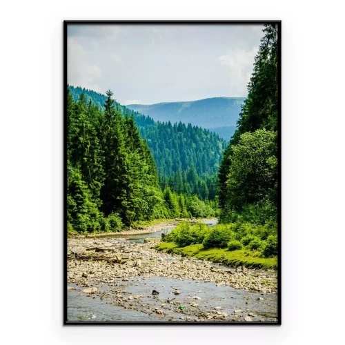 Poster  Un ruisseau traversant une dense forêt de conifères