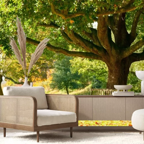 Papier peint  Paysage banc dans le parc en automne