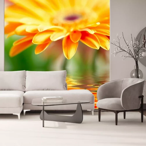 Papier peint  Fleur orange et son reflet dans l'eau