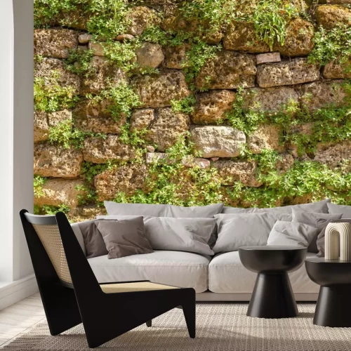 Papier peint  Plantes sur un mur de pierre