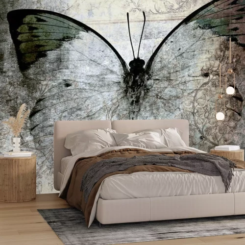 Papier peint  Fond vieilli et papillon