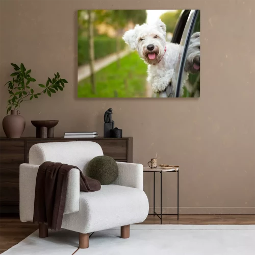 Visualisation du produit