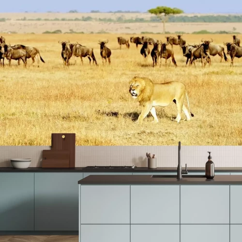 Papier peint  Afrique - animaux de la savane