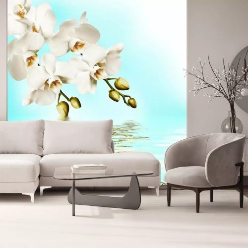 Papier peint  Fleurs blanches et eau