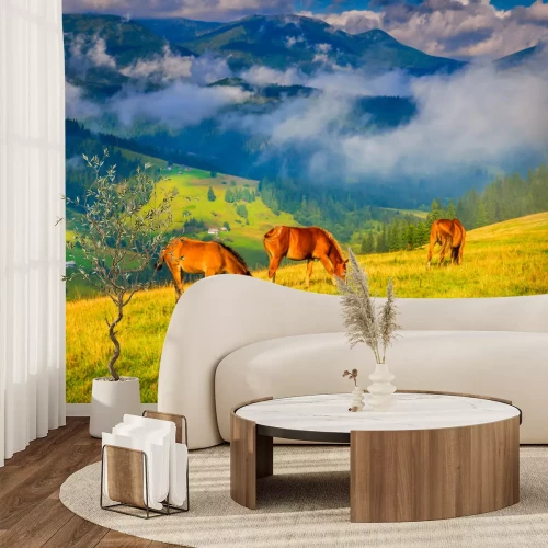 Papier peint  Chevaux à l'arrière-plan des montagnes dans le brouillard