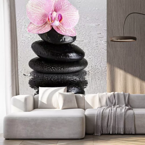 Papier peint  Orchidées roses, pierres et gouttes d'eau
