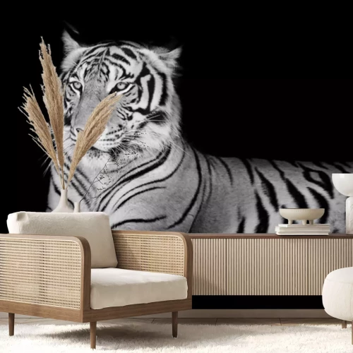 Sticker  Tigre à tête levée et oreilles dressées