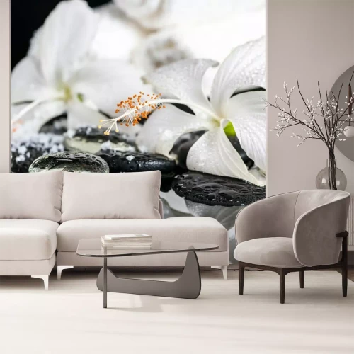 Papier peint  Orchidées sur l'eau