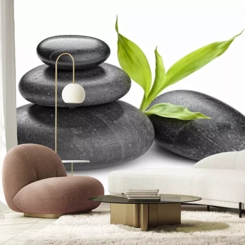 Sticker  pierres zen