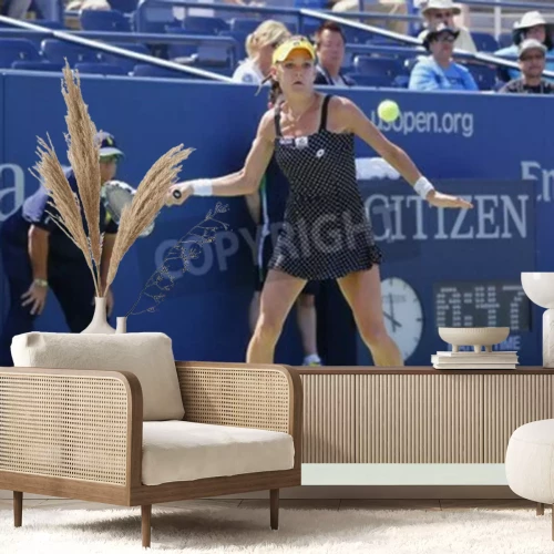 Papier peint  Jeu d'Agnieszka Radwanska