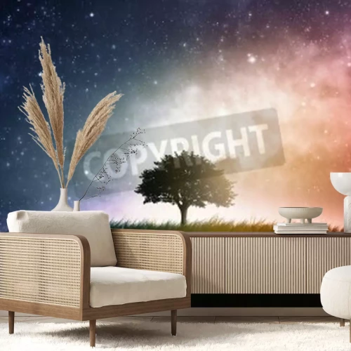 Papier peint  Arbre et ciel coloré avec des étoiles