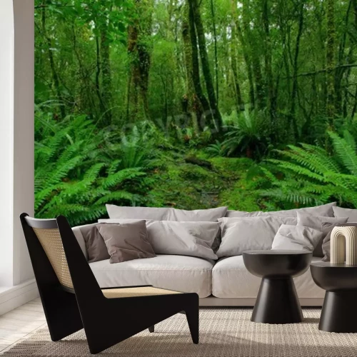 Papier peint  Jungle humide