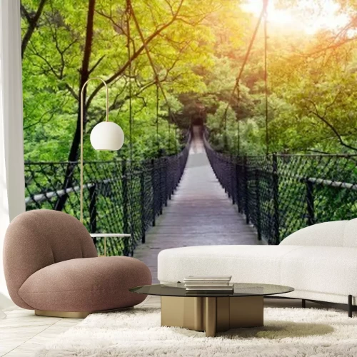 Papier peint  Le pont d'observation dans la forêt vierge