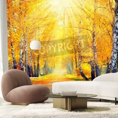 Papier peint  Feuilles de bouleau jaunes d'automne