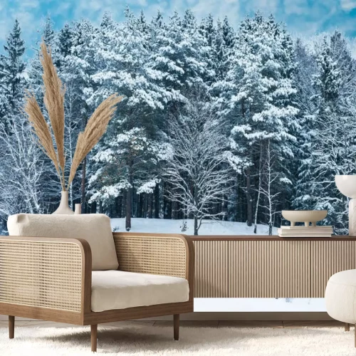 Papier peint  Forêt paysage d'hiver