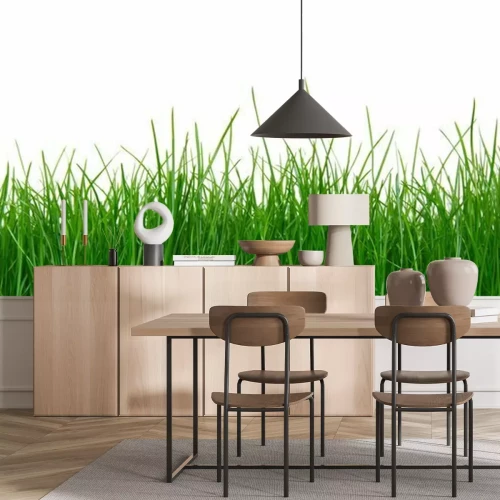 Papier peint  L'herbe verte sur fond blanc