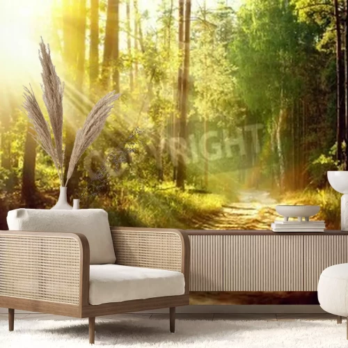 Papier peint  Lever de soleil dans une forêt