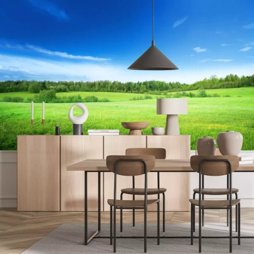 Papier peint  Panorama d'herbes, d'arbres et de ciel