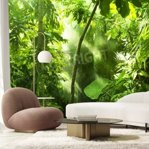 Papier peint  La forêt tropicale, arbres dans la lumière du soleil et de la pluie