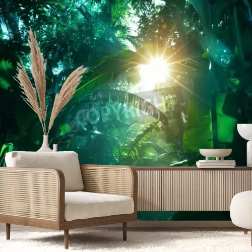 Papier peint  Soleil dans la forêt vierge