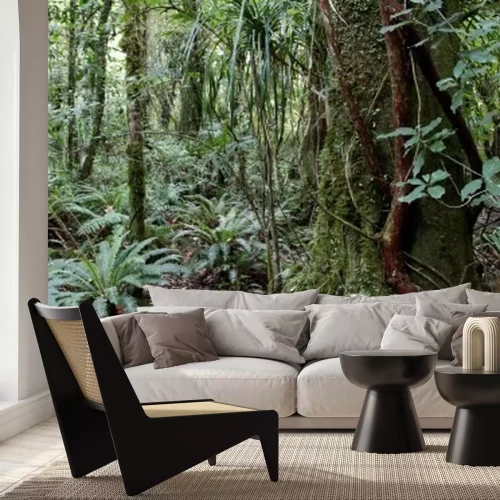 Papier peint  La faune et la forêt vierge