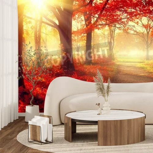 Papier peint  Lever de soleil sur une forêt brumeuse