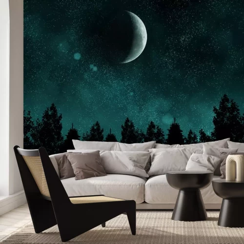 Sticker  Nuit étoilée avec la forêt et de la lune