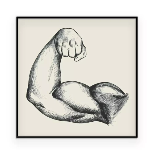 Poster  Sketch illustration of muscular human male right arm