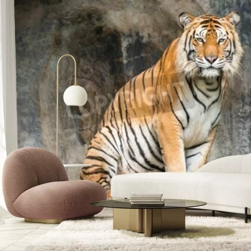Papier peint  Tigre assis devant la grotte