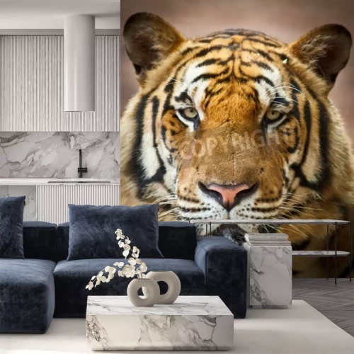 Papier peint  Tigre avec le nez rose