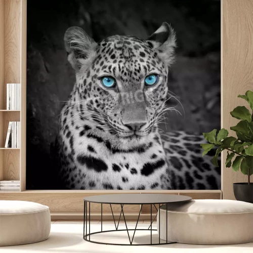 Papier peint  Guépard aux yeux bleus