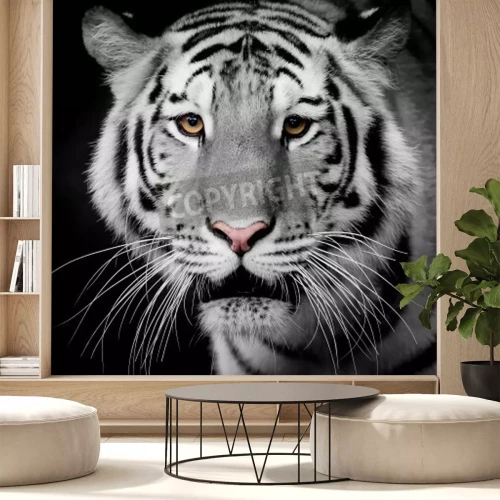 Papier peint  Tigre clair arrière-plan foncé