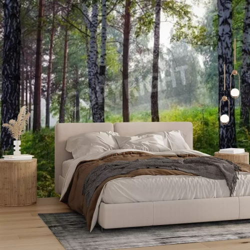 Papier peint  Un chemin étroit à travers un bosquet de bouleaux