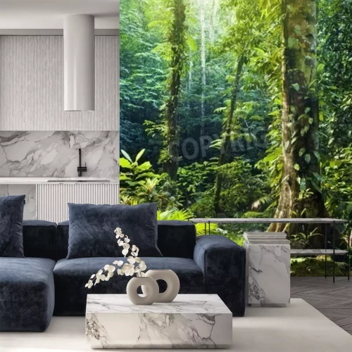 Papier peint  Arbres et végétation dans la forêt vierge