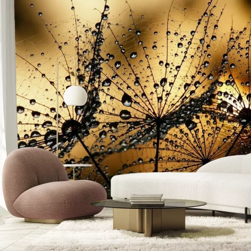 Papier peint  Pissenlit humide graine