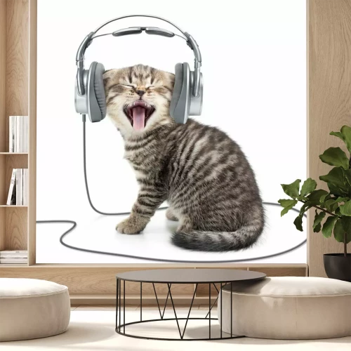 Papier peint  Chat qui bâille portant un casque