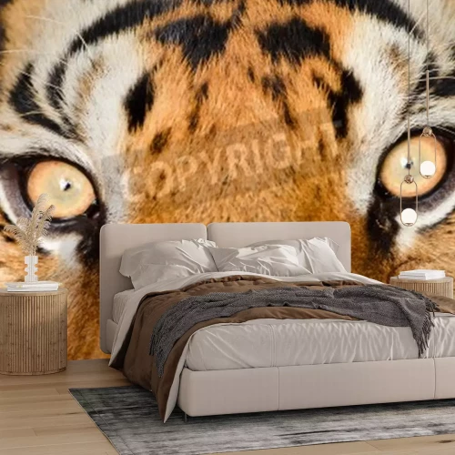 Papier peint  Dessin macro avec un tigre