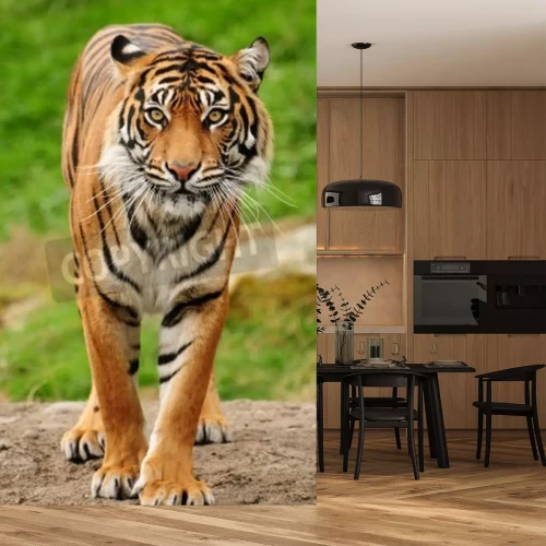 Papier peint  Portrait tigre du Bengale