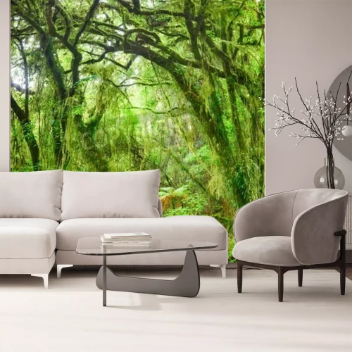 Papier peint  La forêt vierge et la brousse