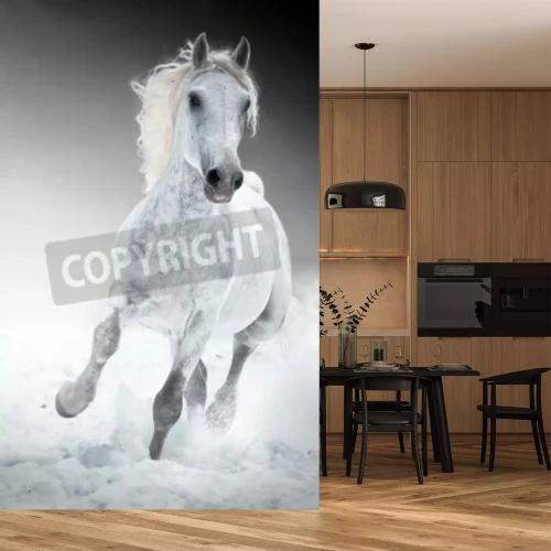 Papier peint  Cheval gris qui court dans la neige