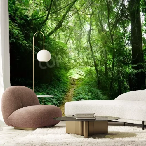 Papier peint  Le chemin étroit dans la forêt vierge