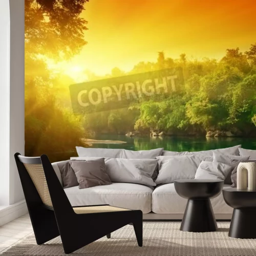 Papier peint  Coucher de soleil orange dans la forêt vierge