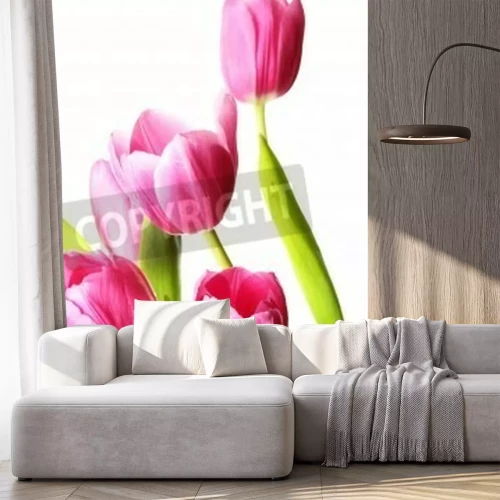 Papier peint  Tulipes roses bouquet