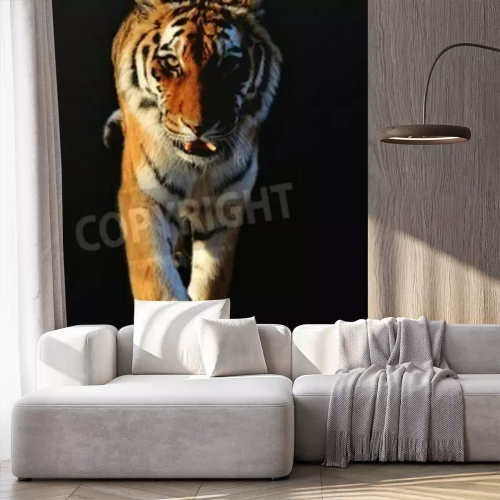 Papier peint  Tigre en mouvement sur fond noir