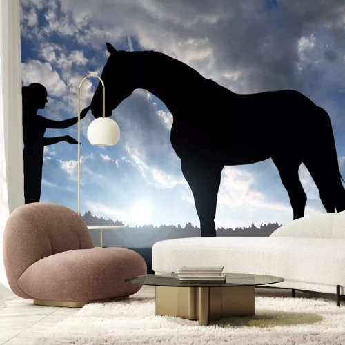 Sticker  Chevaux femme et cheval dans les rayons du soleil