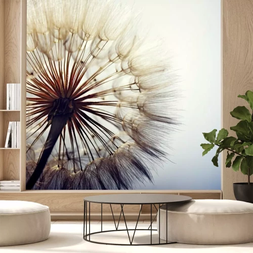 Papier peint  Pissenlit sur le ciel