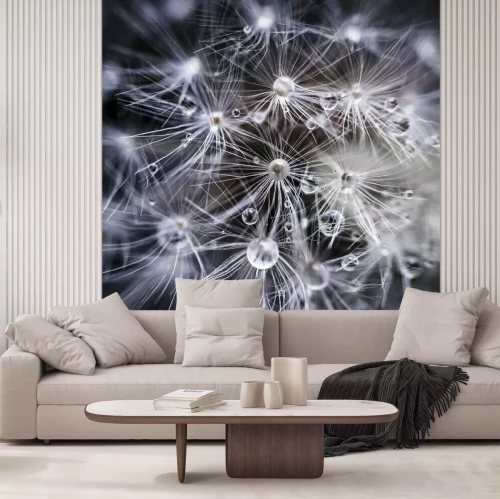 Papier peint  Gouttes d'eau pissenlit