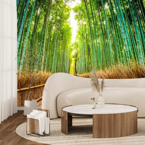 Papier peint  Une forêt de bambous à Kyoto au Japon