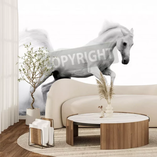 Papier peint  Cheval galopant dans le sable